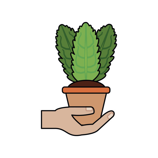 在锅里图片下载