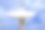 卫星碟形通信塔图片下载
