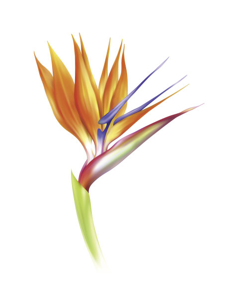 网格04图片下载