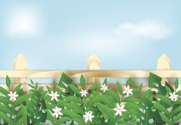 花卉植物和瓢虫与木栅栏在蓝天背景图片下载