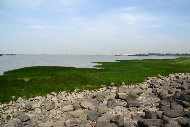 中国上海吴淞炮台湾湿地公园和长江图片下载