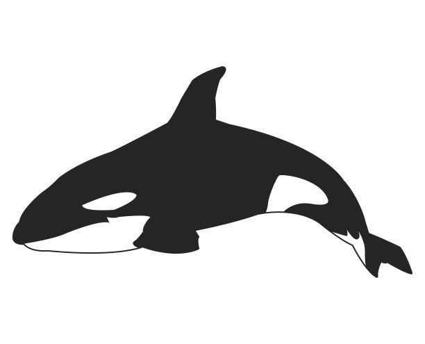黑白鲸图案图片下载