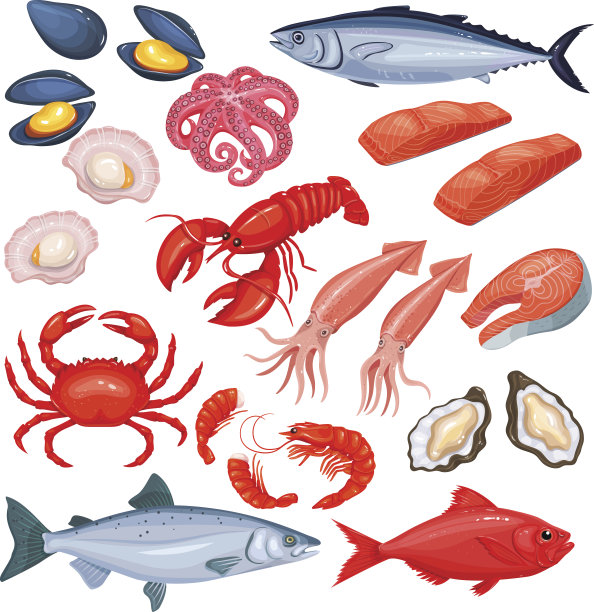 卡通式海鲜。图片下载