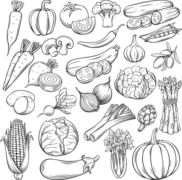 矢量手绘蔬菜图标集图片下载