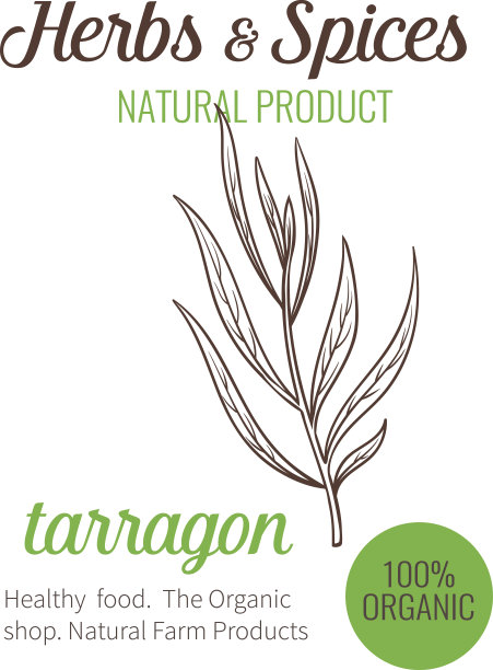 矢量手画龙蒿。图片下载