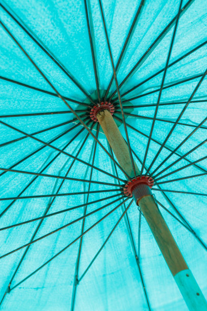 绿色的伞图片下载