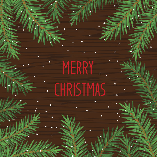 圣诞快乐和新年冬季贺卡背景模板与圣诞树枝图片下载