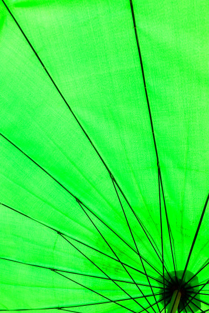 绿色的伞图片下载