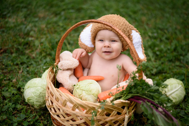可爱的小兔子宝宝坐在装着卷心菜和胡萝卜的篮子里的草地上。自然公园的背景图片下载