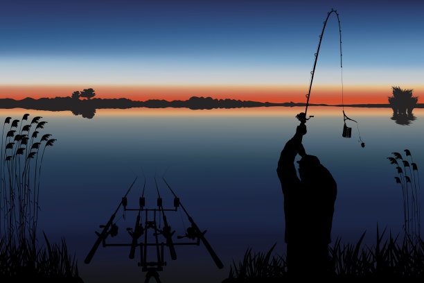 渔民在行动的剪影。鲤鱼喂鱼载体。图片下载