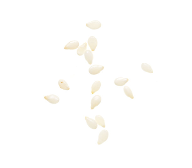 白色背景上的芝麻图片下载