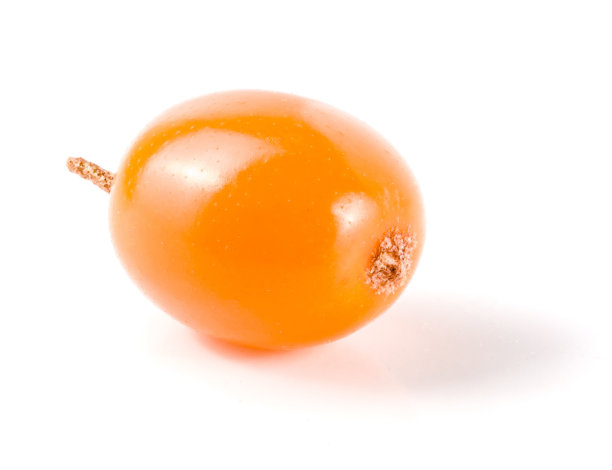 沙棘浆果孤立在白色背景宏图片下载