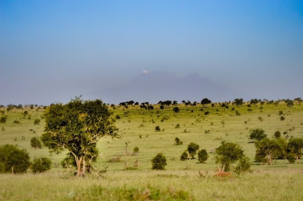 察沃东部大草原图片下载