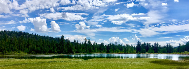 犹他州的草地图片下载