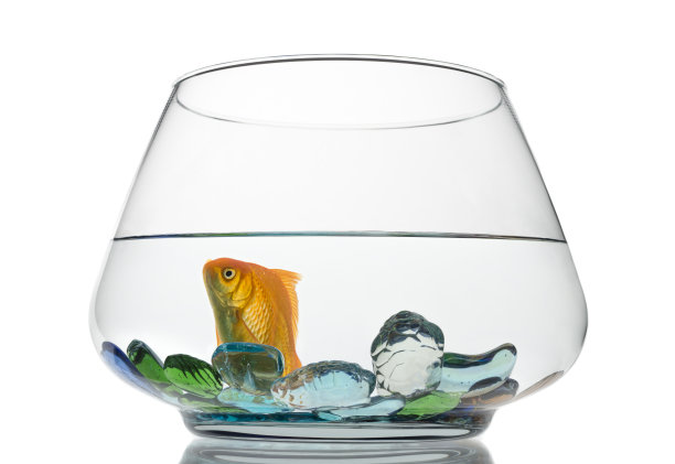 鱼缸里的金鱼图片下载