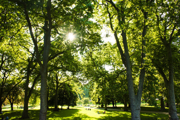 公园日图片下载