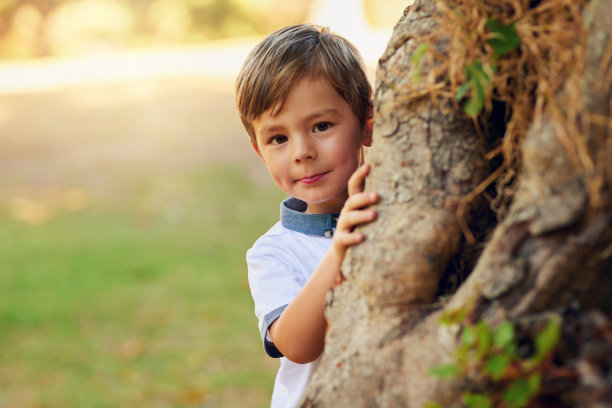 隐藏和peek图片下载