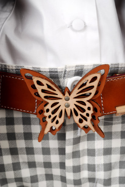 现代女性腰带的细节与蝴蝶的细节应用图片下载
