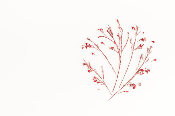 用秋天的红花做成的树。平躺，俯视图图片下载