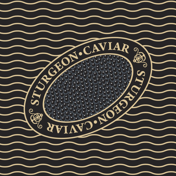 黑色鱼子酱在椭圆盘上，背景是波浪图片下载