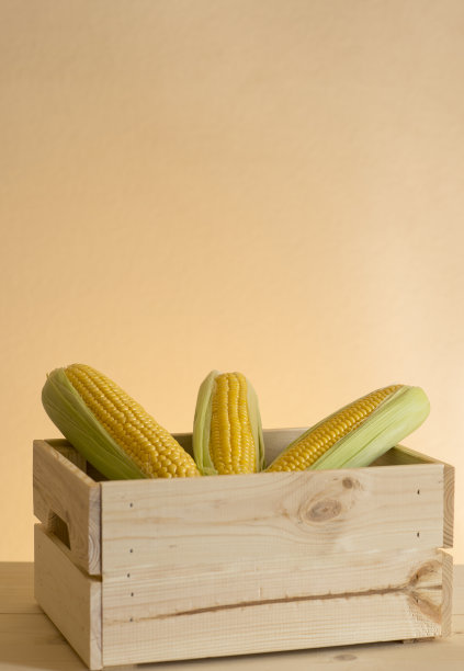 玉米装在板条箱里准备带回家。图片下载