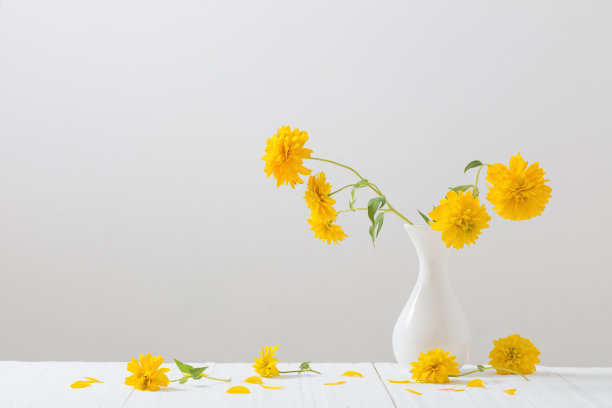 花瓶上的黄花，白底图片下载