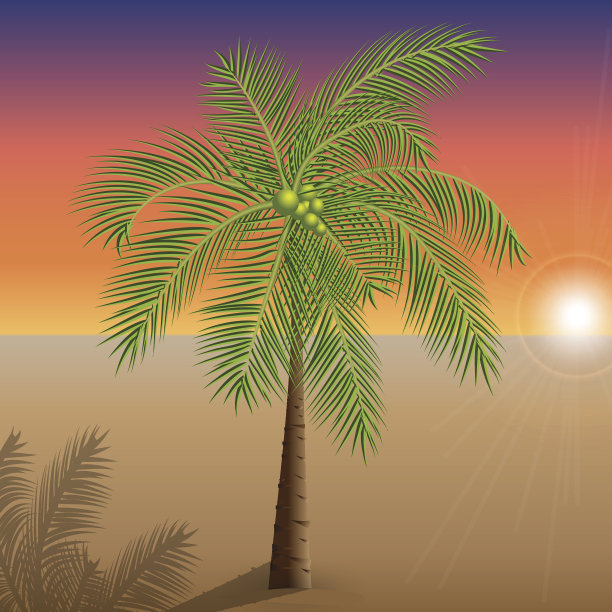 沙漠中的棕榈树矢量图图片下载