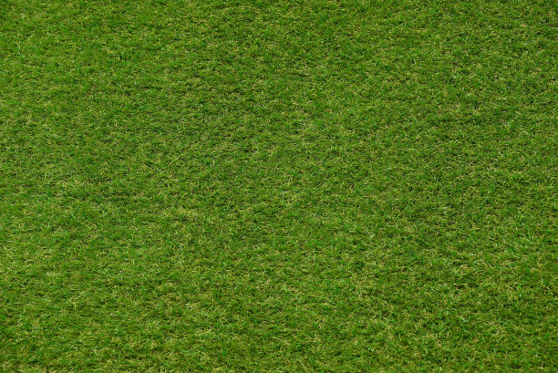 运动场碎片上的植物绿色纹理素材图片