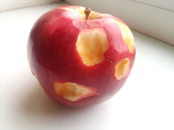 熟皮红苹果图片下载