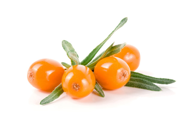 沙棘。新鲜成熟的浆果与叶子孤立的白色背景微距图片下载