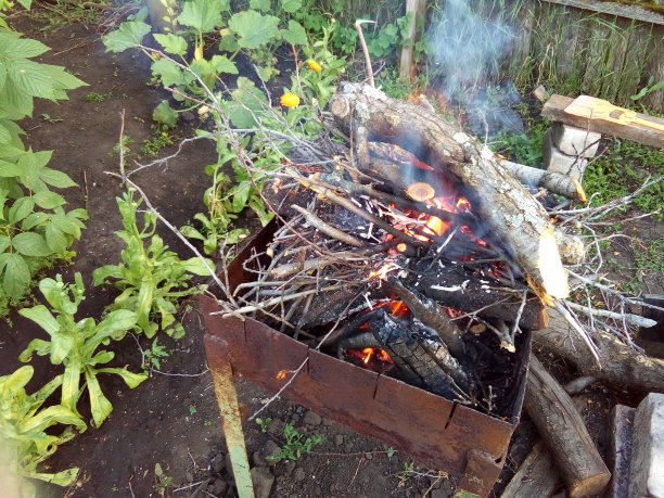 火从草丛。树枝在烤架上突然燃烧起来图片下载