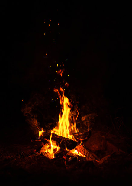 旅游营地里的火在夜间燃烧图片下载