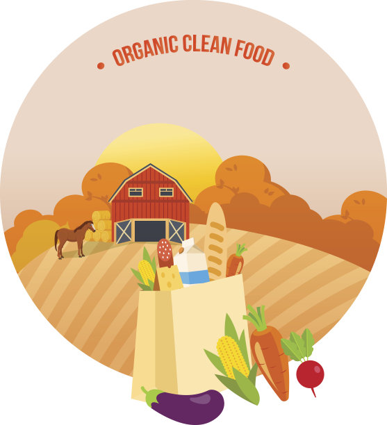 秋季有机清洁食品。农民,农田。农业、农业。农村景观图片下载