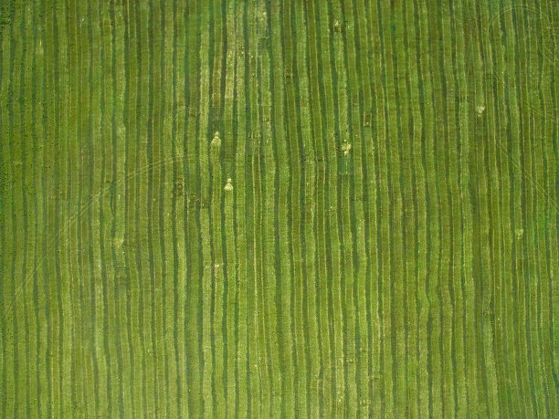 田野鸟瞰图，田野上的痕迹图片下载