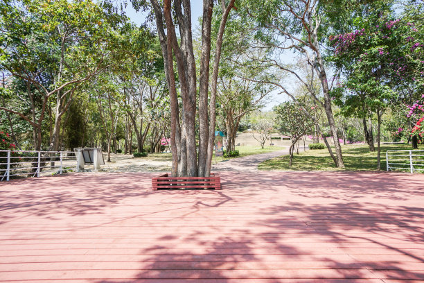 阳光下的红色木制公园广场图片下载