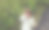 野外的女孩素材图片