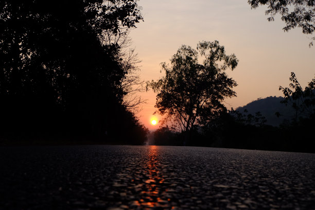 路阳光图片下载