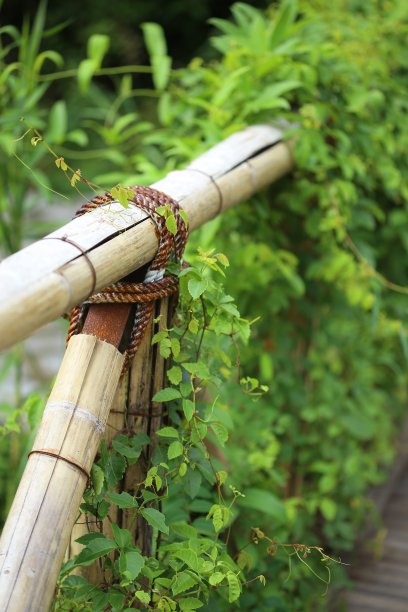 近竹桥绳结图片下载