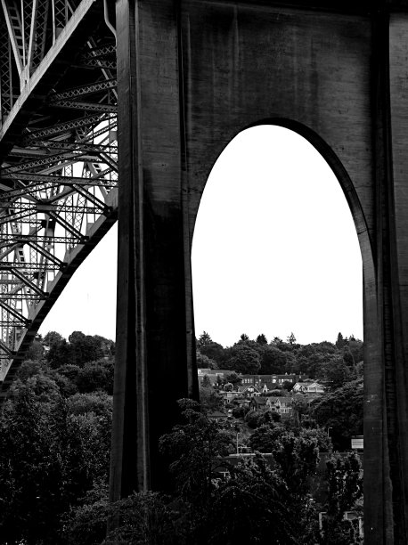 通过极光桥的社区图片下载