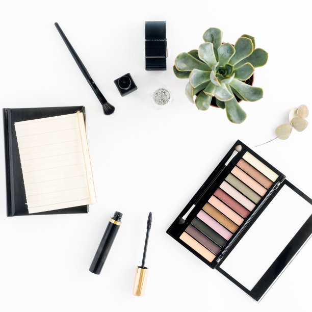 白色背景上的眼影、睫毛膏、多肉植物和笔记本（俯视，平铺）。美妆背景图片下载