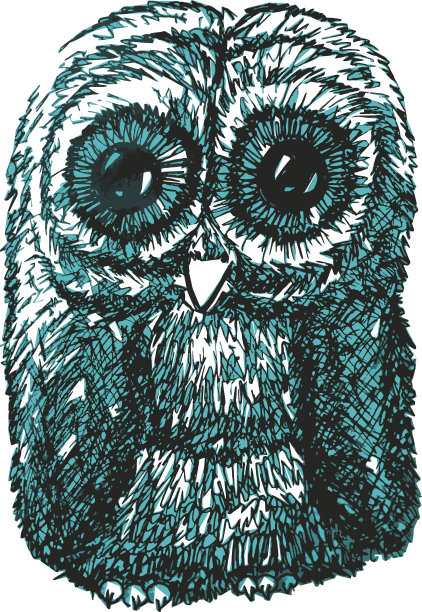 猫头鹰、手绘、动物、素描、插画、猫头鹰、孤立、婴儿、可爱、矢量、小鸟、素描、设计、卡通、自然、野生动物、涂鸦、装饰、图形图片下载