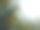 水下淡水植物河流，湖泊，池塘。表面。图片下载