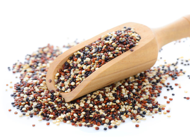 白背景木勺里的藜麦种子图片下载