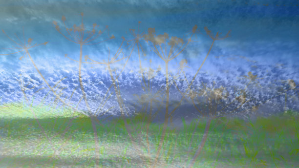 杂草文摘图片下载