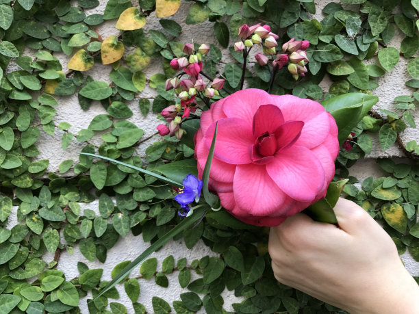 一分耕耘，一分收获图片下载