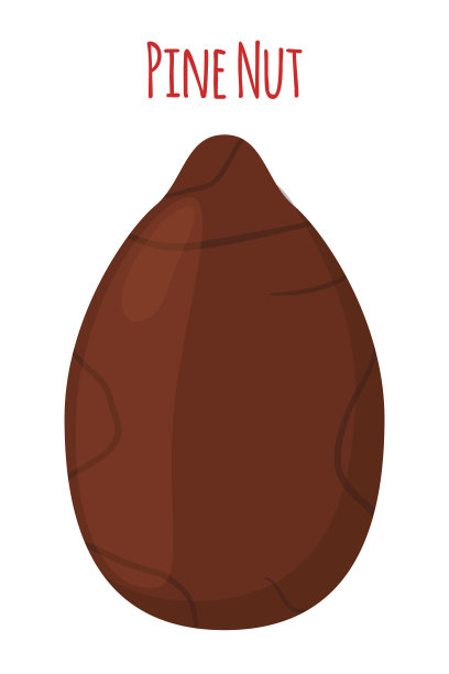 松子，有机零食，健康营养。平的风格。矢量图图片下载