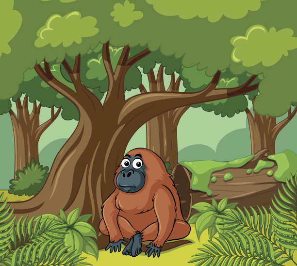 猩猩生活在森林里图片下载