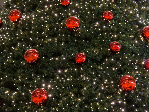 圣诞树图片下载