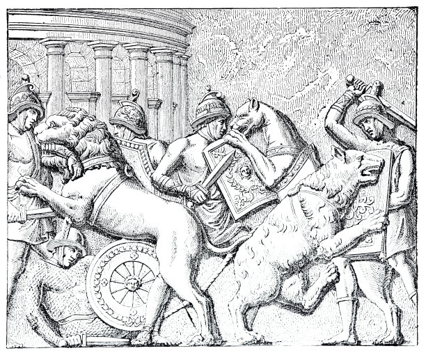 罗马马戏团里的动物在打架图片下载