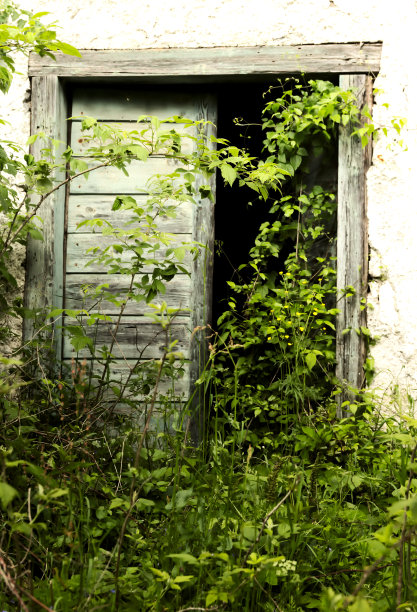 废弃的木门图片下载